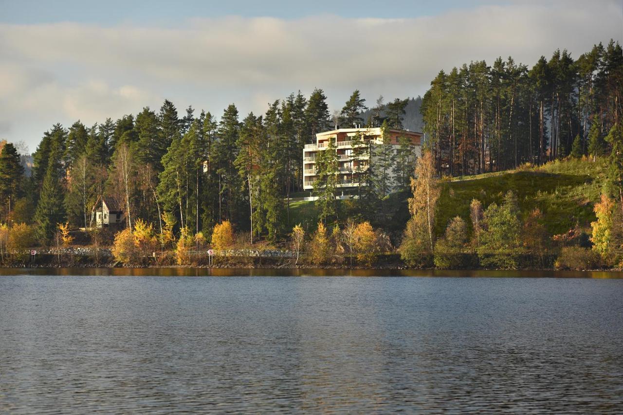 Element Lakeside Apartments Ліпно-над-Влтавою Екстер'єр фото